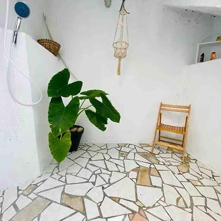 Habitation Nala Proche Bourg Apartamento Terre-De-Haut Exterior foto